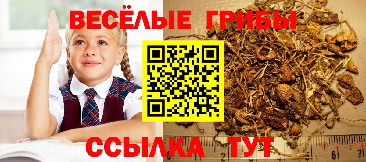 Псилоцибиновые грибы мухоморы  Вход с VPN  Миллерово 
